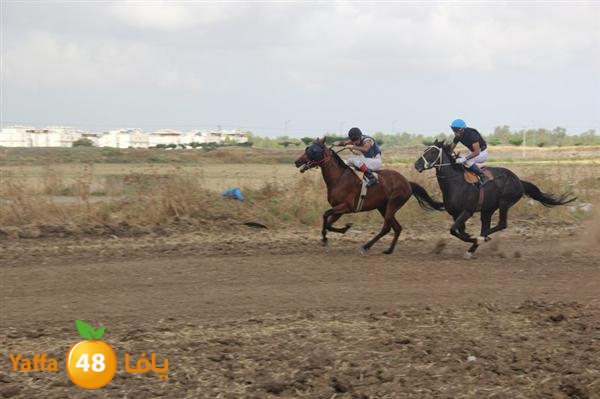 khoyoul lud 0610 (76).JPG